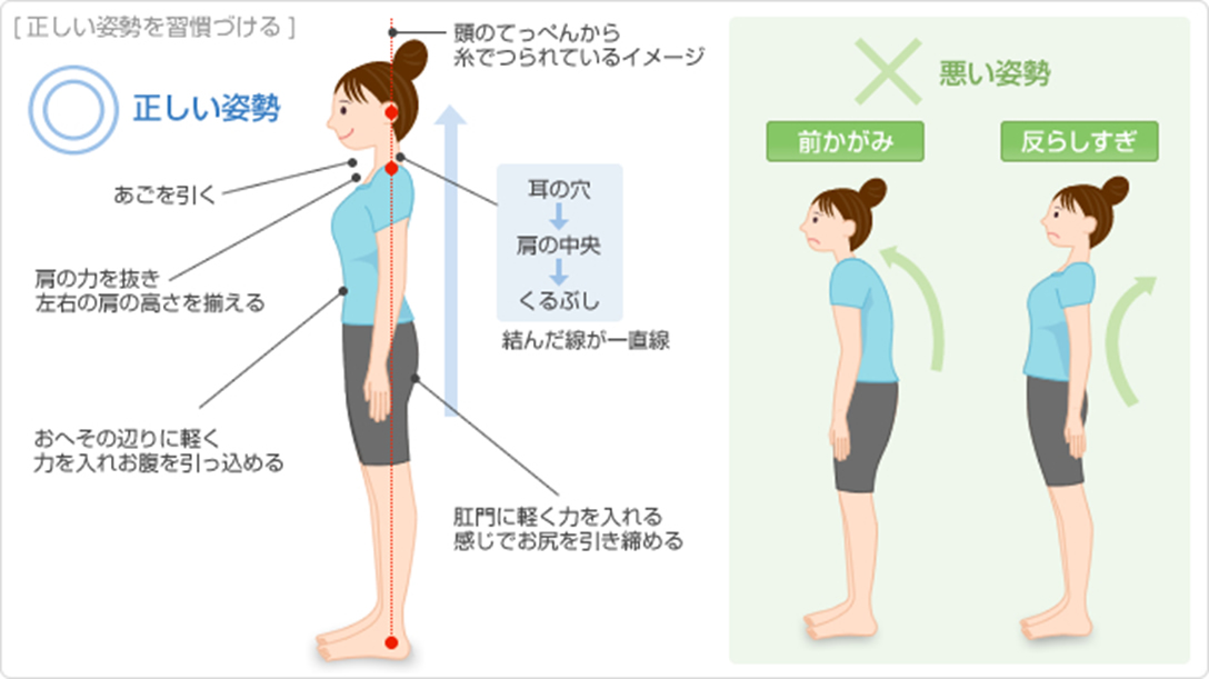 “今の歯並びやかみ合わせは、自分の体にとって一番バランスの良いかみ合わせ・歯の位置なのです！